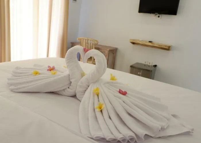 Narya Guest house